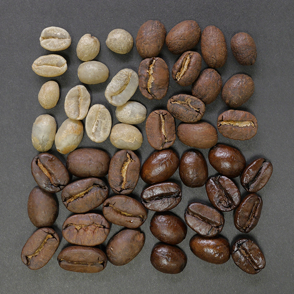 measuring-the-color-of-roasted-coffee-beans-konica-minolta-color