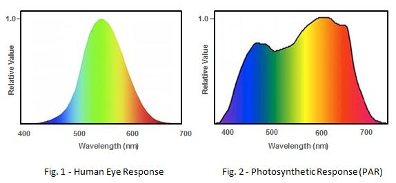 par measurement