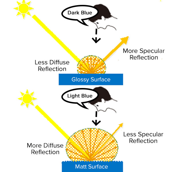 Understanding the Effects of Gloss in Color Measurement Konica