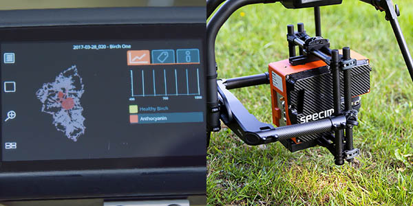 Plant_phenotyping_with_Specim_IQ_and_Specim_airborne_ AFX_series