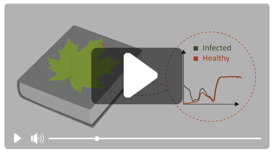 Hyperspectral Imaging - Konica Minolta Color, Light, And Display ...